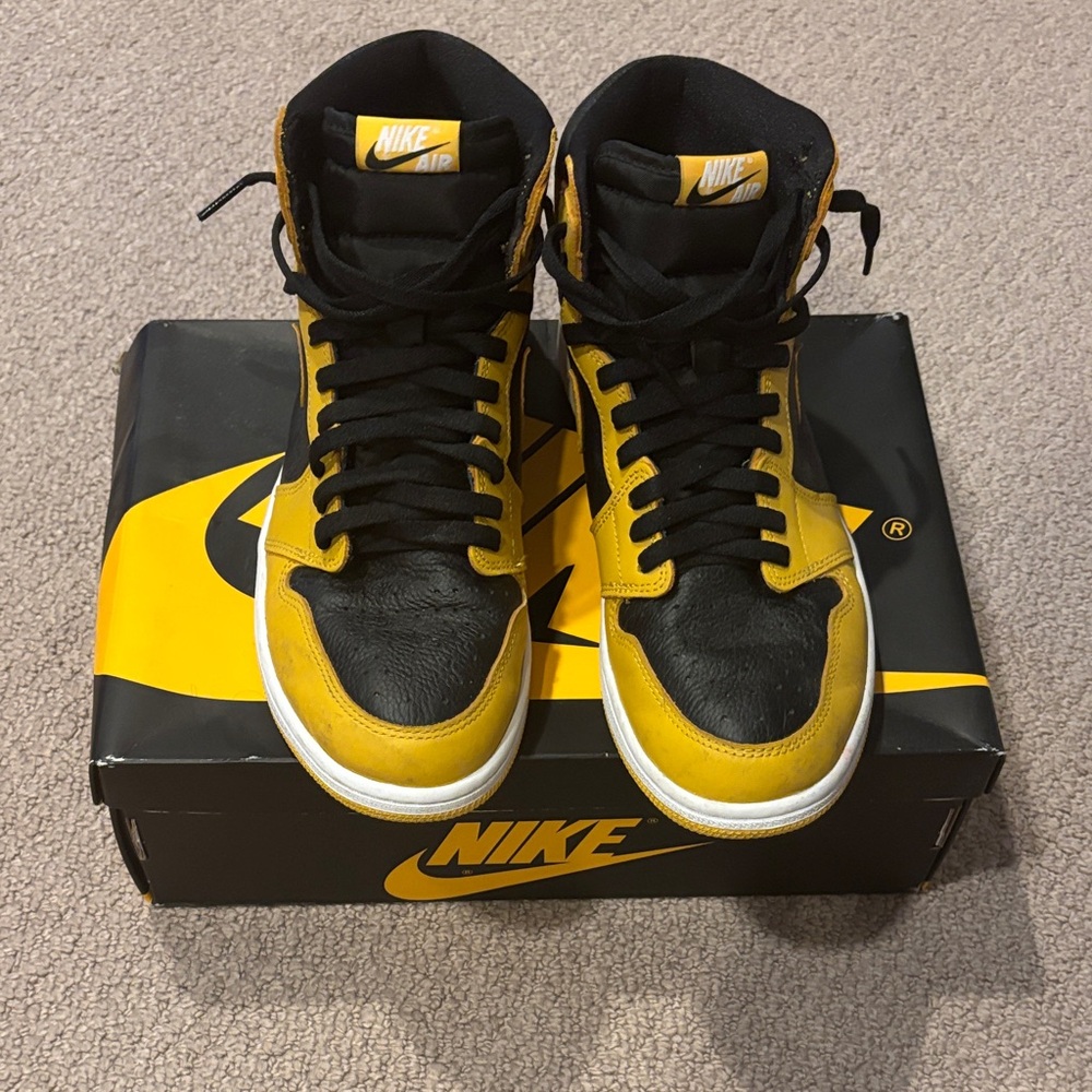 Nike Air Jordan Pollen 10.5